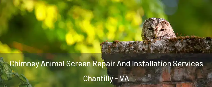 Chimney Animal Screen Repair And Installation Services Chantilly - VA