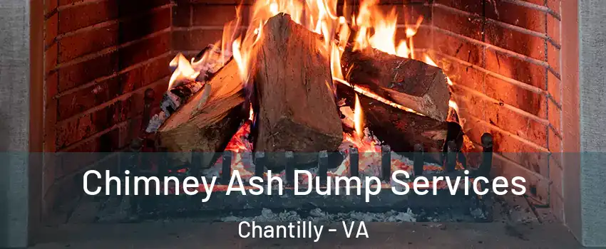  Chimney Ash Dump Services Chantilly - VA
