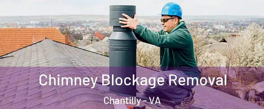  Chimney Blockage Removal Chantilly - VA