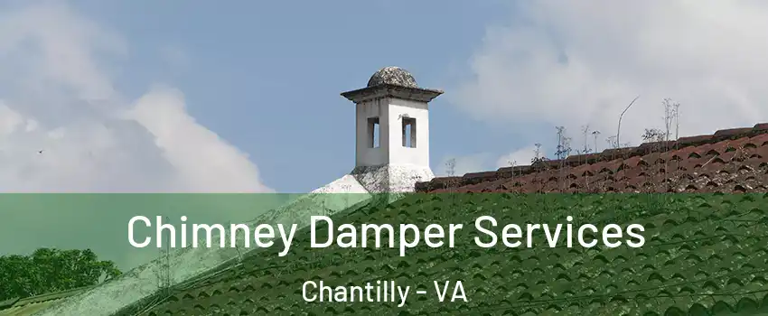 Chimney Damper Services Chantilly - VA