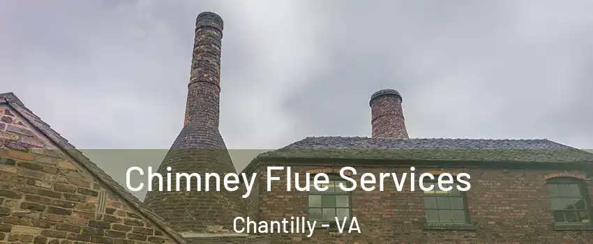  Chimney Flue Services Chantilly - VA
