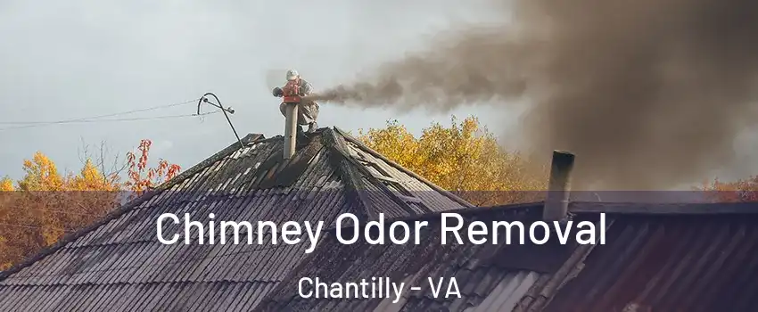  Chimney Odor Removal Chantilly - VA