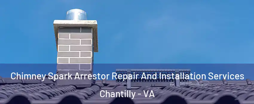  Chimney Spark Arrestor Repair And Installation Services Chantilly - VA