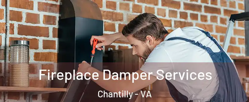  Fireplace Damper Services Chantilly - VA