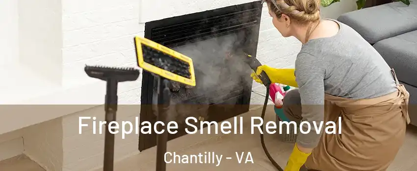  Fireplace Smell Removal Chantilly - VA