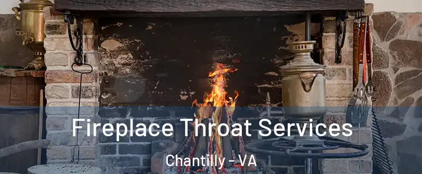  Fireplace Throat Services Chantilly - VA
