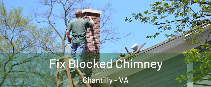  Fix Blocked Chimney Chantilly - VA
