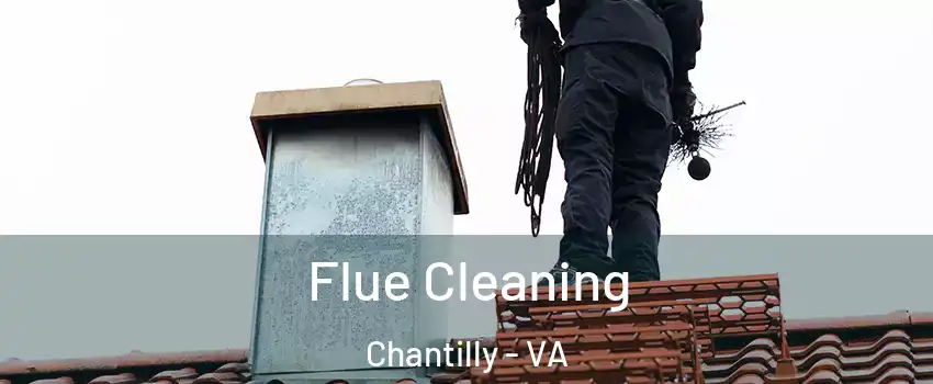  Flue Cleaning Chantilly - VA