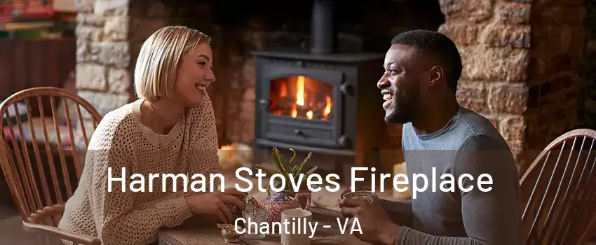  Harman Stoves Fireplace Chantilly - VA
