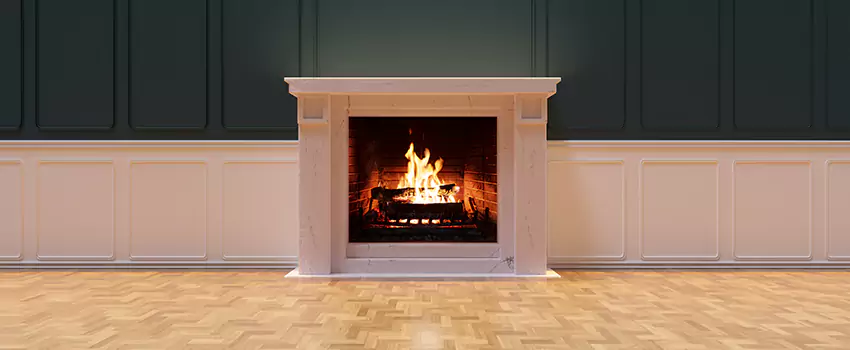 Napoleon Electric Fireplaces Inspection Service in Chantilly, Virginia
