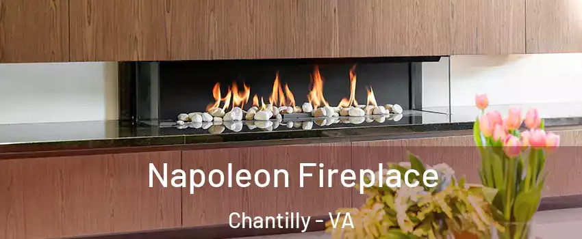  Napoleon Fireplace Chantilly - VA