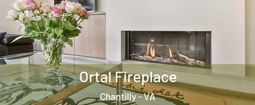  Ortal Fireplace Chantilly - VA
